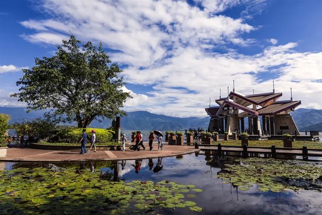 西昌琼海国家湿地公园上榜2021,四川最受网友欢迎的网络名人打卡地!