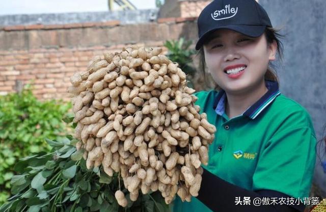 芸苔素内酯、胺鲜酯、复硝酚钠，作用看似差不多，但实际差别很大10