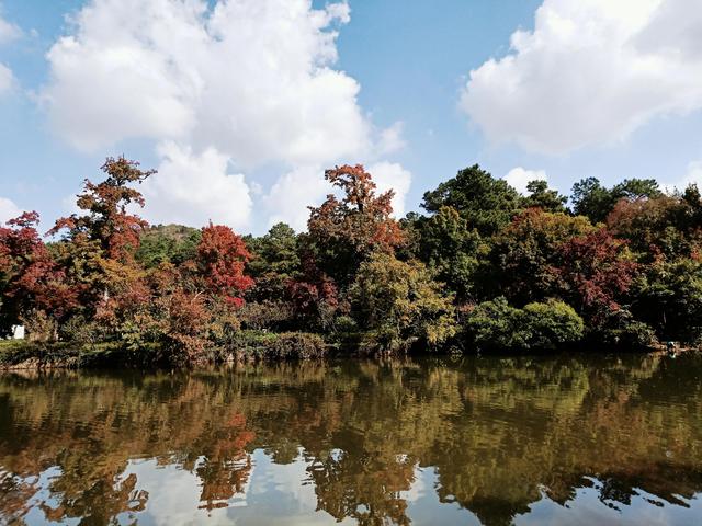 带宝宝爬天平山