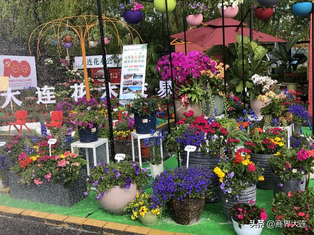 大连工程材料展