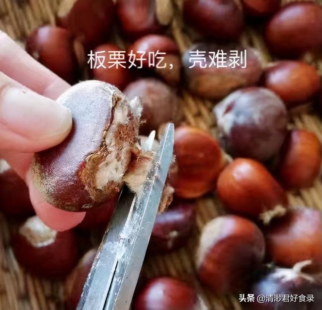 秋分到天转凉，这两方面饮食要多关注，顺应时节保健康，别太大意