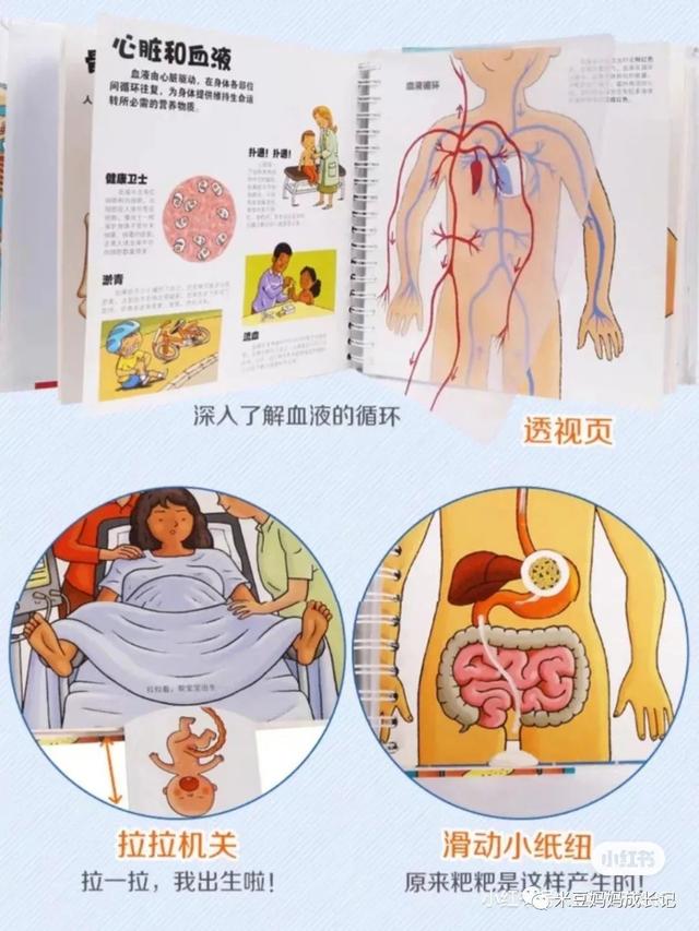 我从哪里来……