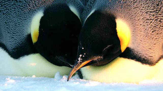 涨知识！学了这么多育儿技巧，竟然还不如他们更懂孩子