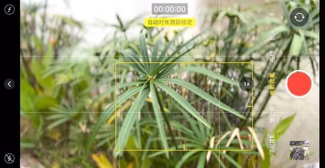 新手必读 | iPhone手机的自带相机拍摄操作完全指南-第34张图片-9158手机教程网
