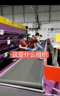 搞笑的GIF趣图：狗子生气了，怎么感觉养了一个女朋友！