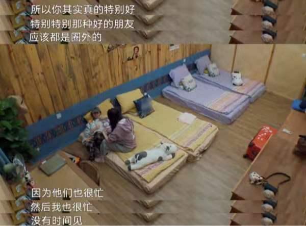 张子枫欧阳娜娜友情:《向往4》黄磊郑钧老狼回忆峥嵘岁月 欧阳娜娜张子枫友情感人心