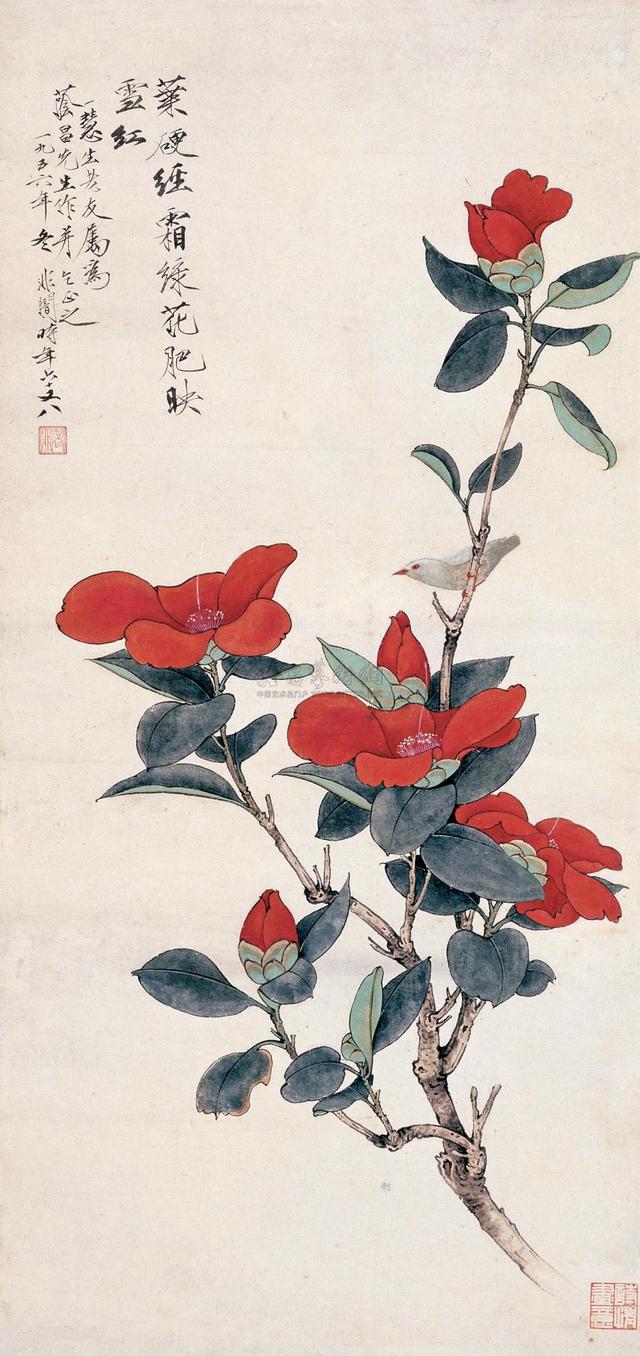 山茶花