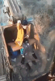 GIF爆笑的图片:啥也别说了,盘他