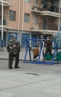 爆笑的动态图GIF：谁家的小宝宝，没人要我带走了啊