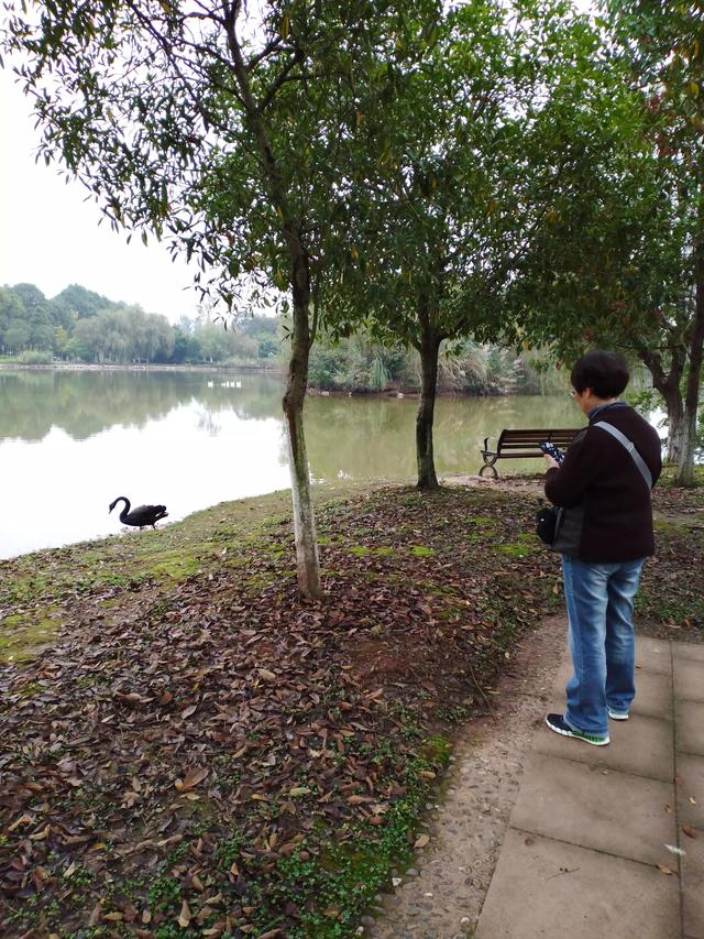 信科学，现代人如何走向120岁