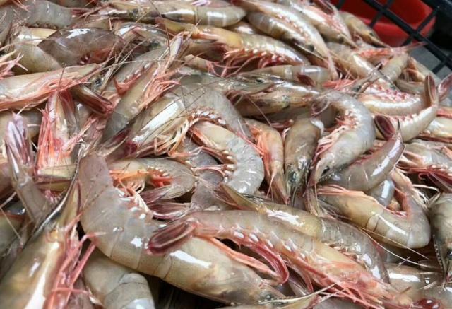 含“寄生虫”最多的3种海鲜，没营养还贵，很多人还天天吃