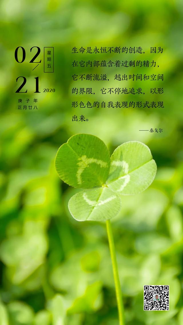 周五早安图片日签阳光暖心：只需勇敢前行，梦想自会引路