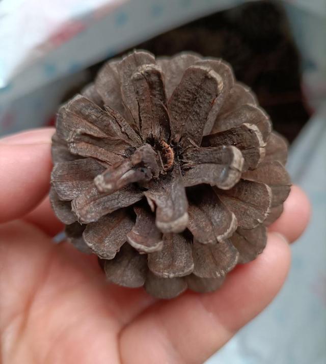 磷钾肥