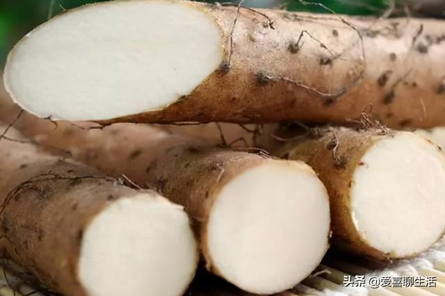 霜降来临，要多吃6种根菜，顺应时节应季而食，安稳度过季节交替