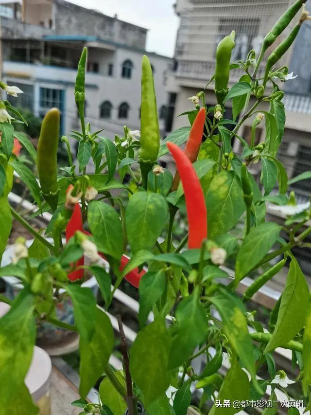 8个生活小妙招，作用真大