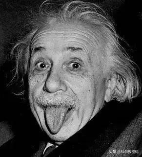 韦神，炒股会如何