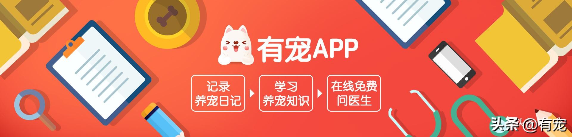 猫闻到臭脚后为什么会张开嘴