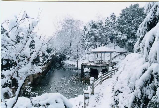 南京审计学院地址