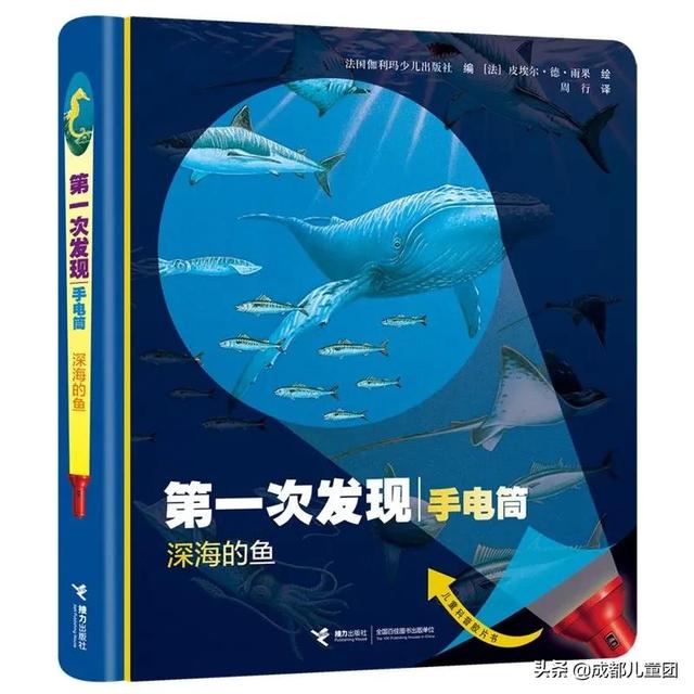 科普丨身处西南内陆城市，怎么给孩子讲海洋？