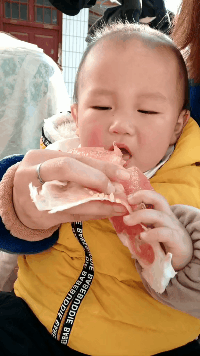 搞笑动态图图片：作为单身狗，养什么鱼？养什么鱼？