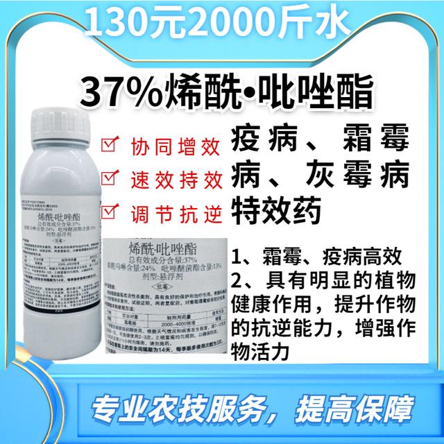 炭疽病防治的单剂和复配药剂参考，雨季后及时防治8