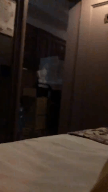 男女激烈动态黄图：小白兔真调皮！蹦蹦跳跳真可爱！