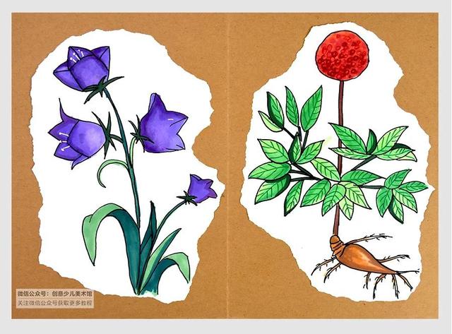 中医药儿童画大全(小学生中草药绘画大全简单)