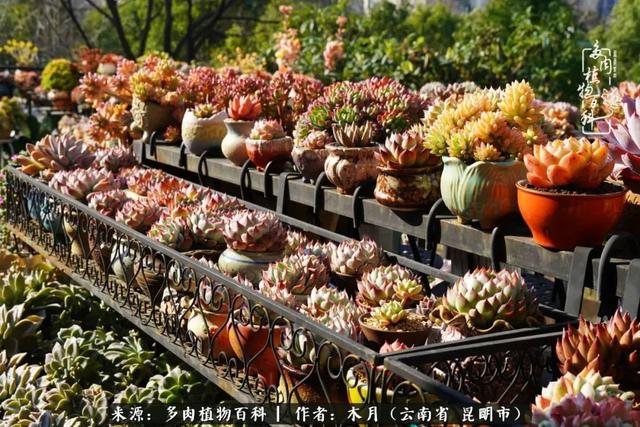关于安康石英砂洗砂机厂家电话的信息