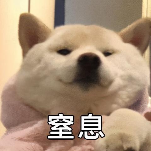 狗钩虫病