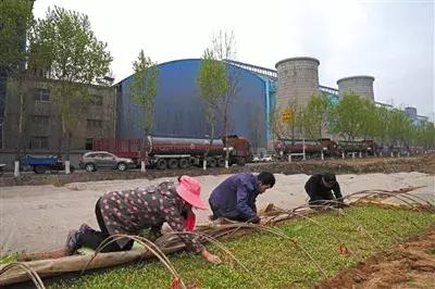 河南价位合理的无渗漏压滤机