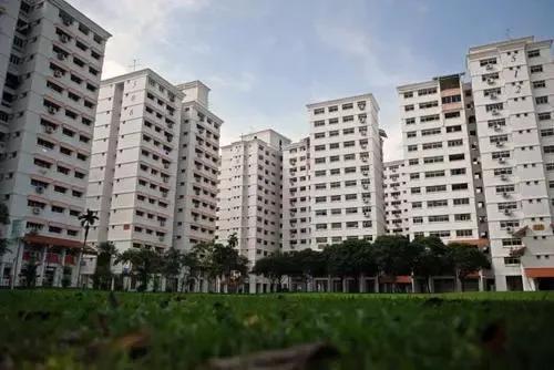 新加坡的另一面，帶你看看真實的新加坡，看完別吃驚