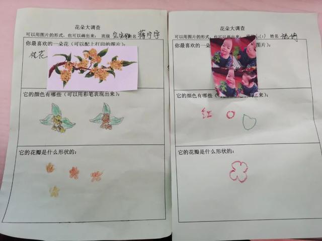 寻花之旅——友联幼儿园小班幼儿《花儿朵朵开》班本课题