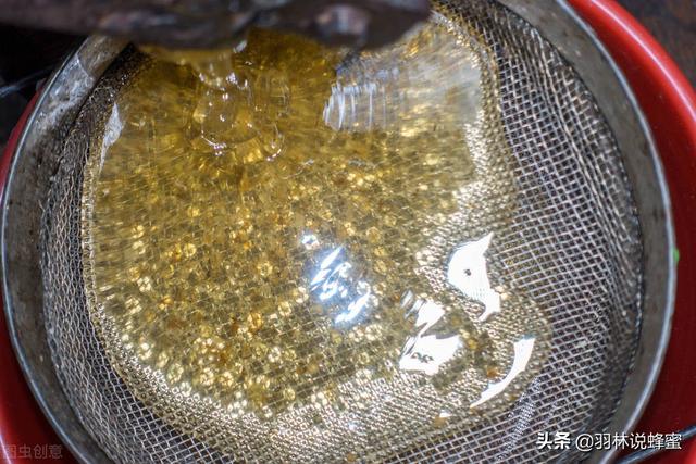蜂蜜过滤机去哪里买