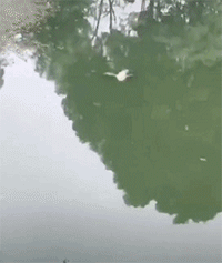 搞笑的动态图GIF：男人就是要对自己狠一点，一点都不疼