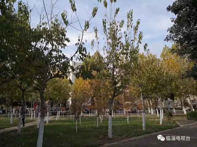 青州废水处理压滤机厂家