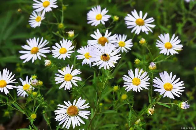 爱上阅读 是一辈子的享受