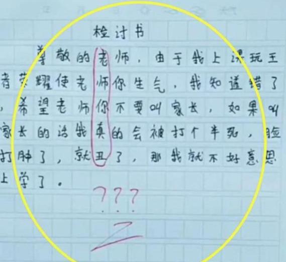 小学生的检讨书走红内有藏头诗(小学生写的检讨书里面含有藏头诗)