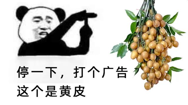 皮皮皮！这水果浑身是宝！1