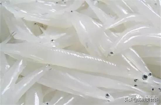 海鲜种类