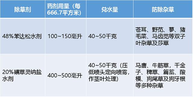 五分钟农技课：甘蔗除草，如何选药？5