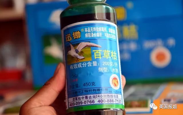 13岁河南女孩喝下百草枯，悲惨折磨触目惊心，“死亡之水”有多恐怖？