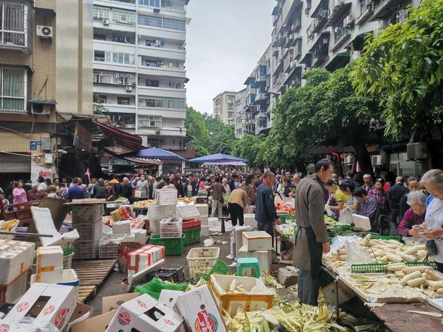 北京宠物狗市场