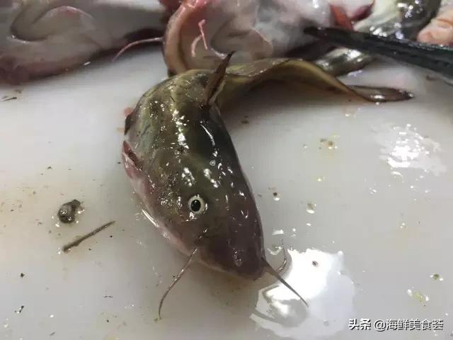 海鲜种类