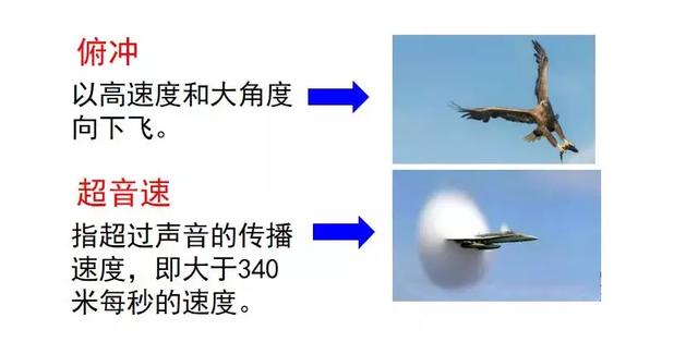 置之不理的置什么意思 置之不理的置什么意思（置之不理的理什么意思） 生活