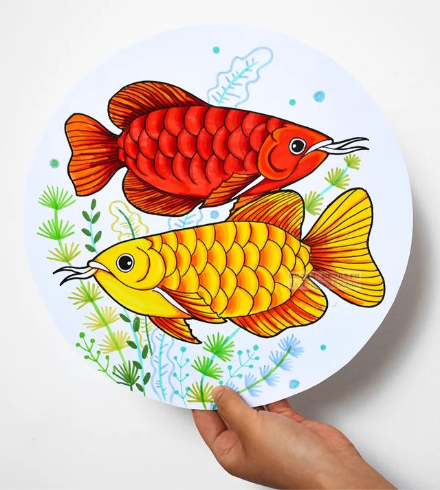 鱼的颜色搭配图片画画图片