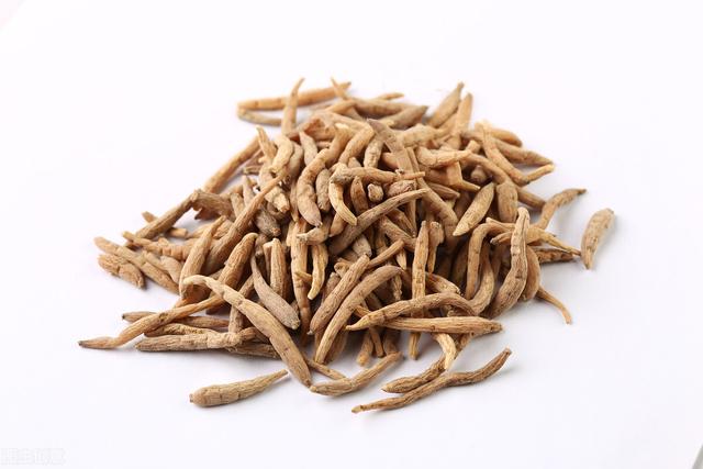 抗衰老的中药（十）