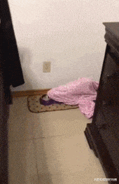 不一般搞笑的GIF：妹子这屁的威力有点大