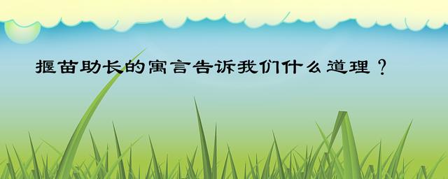 揠苗助长的故事（揠苗助长的故事比赛）