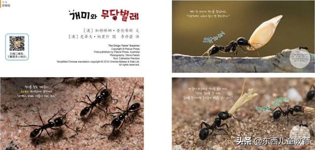 重视这一类阅读，孩子的阅读就有底气了