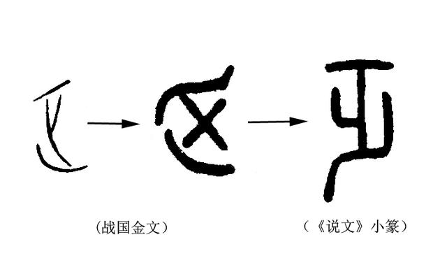 指事字是什么意思图片